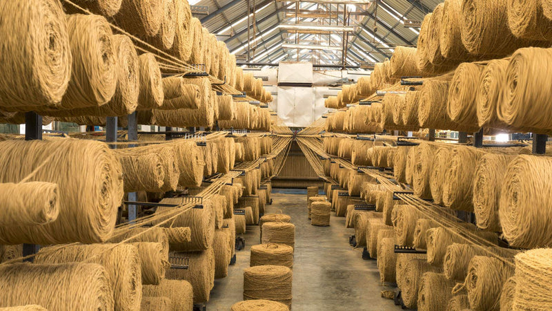 What Are Coir Mats Made Of? (And Why They’re So Durable)